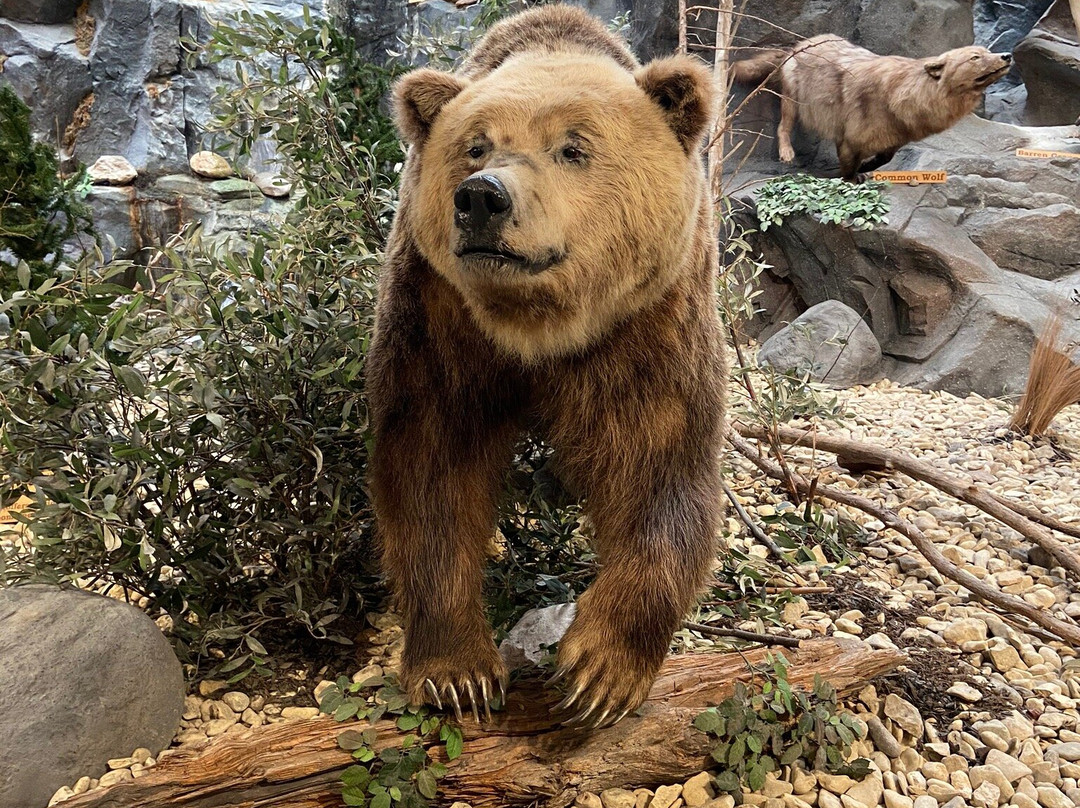 Cabela's-Buda必去景点