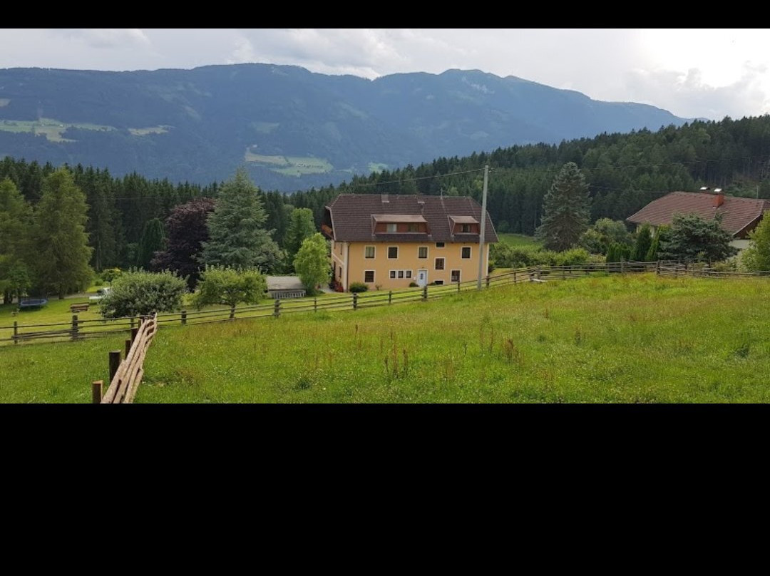 Appartements Pension Waldheim