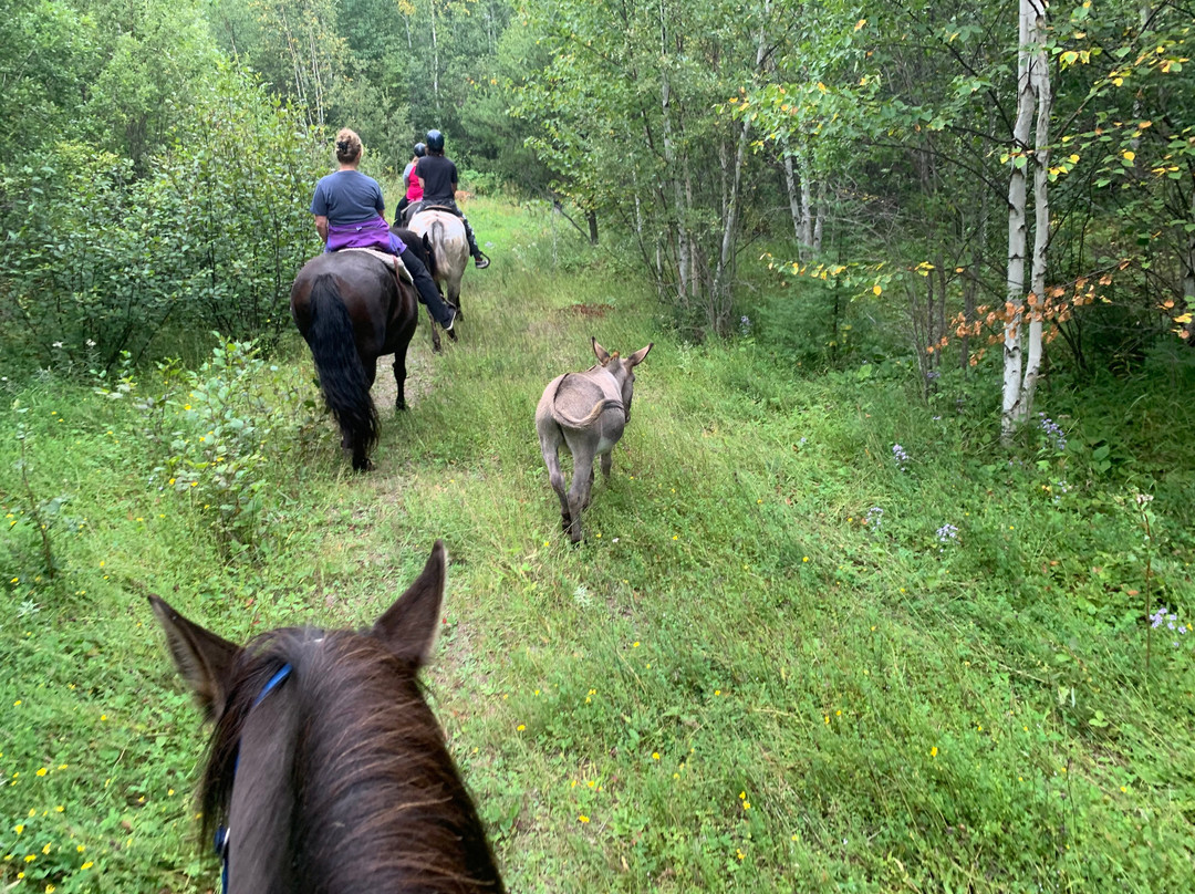 Whispered Dreams Ranch-Shabaqua必去景点