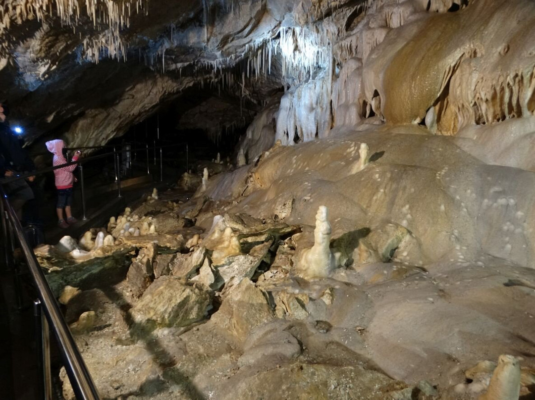 Bear Cave景点图片