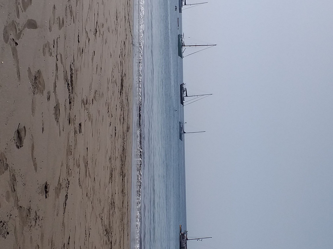 Playa Pasito Blanco景点图片