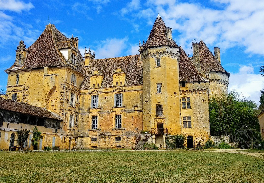Chateau de Lanquais景点图片