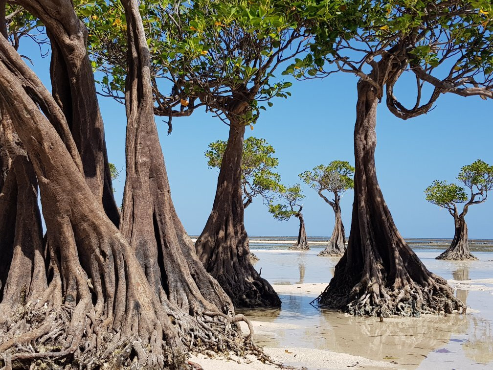 Walakiri Beach景点图片