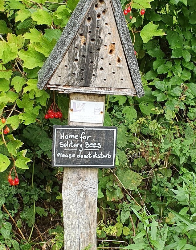 Sevenoaks Wildlife Reserve景点图片