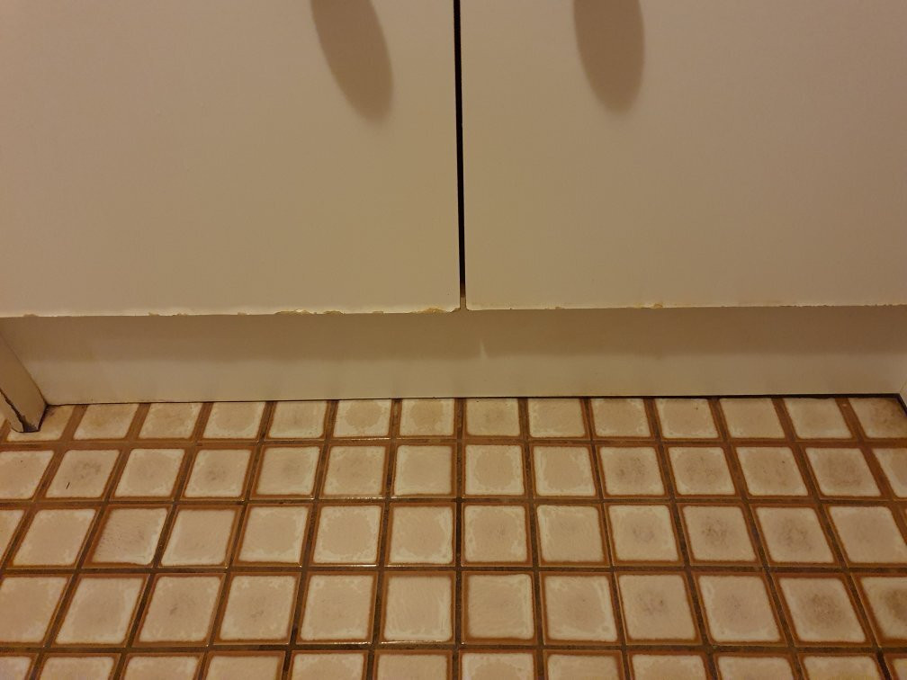 Alamo Motor Inn主图