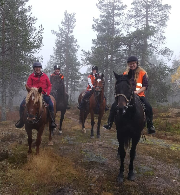 Arctic Nature Trips-罗瓦涅米必去景点