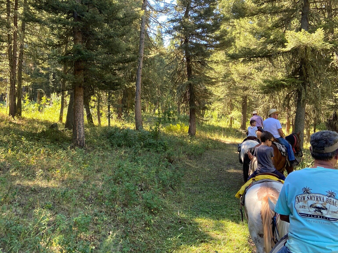 Bear Paw Outfitters-利文斯顿必去景点