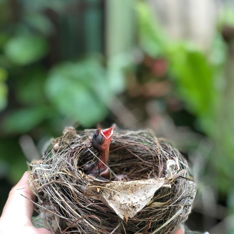 东印度群岛大厦酒店主图