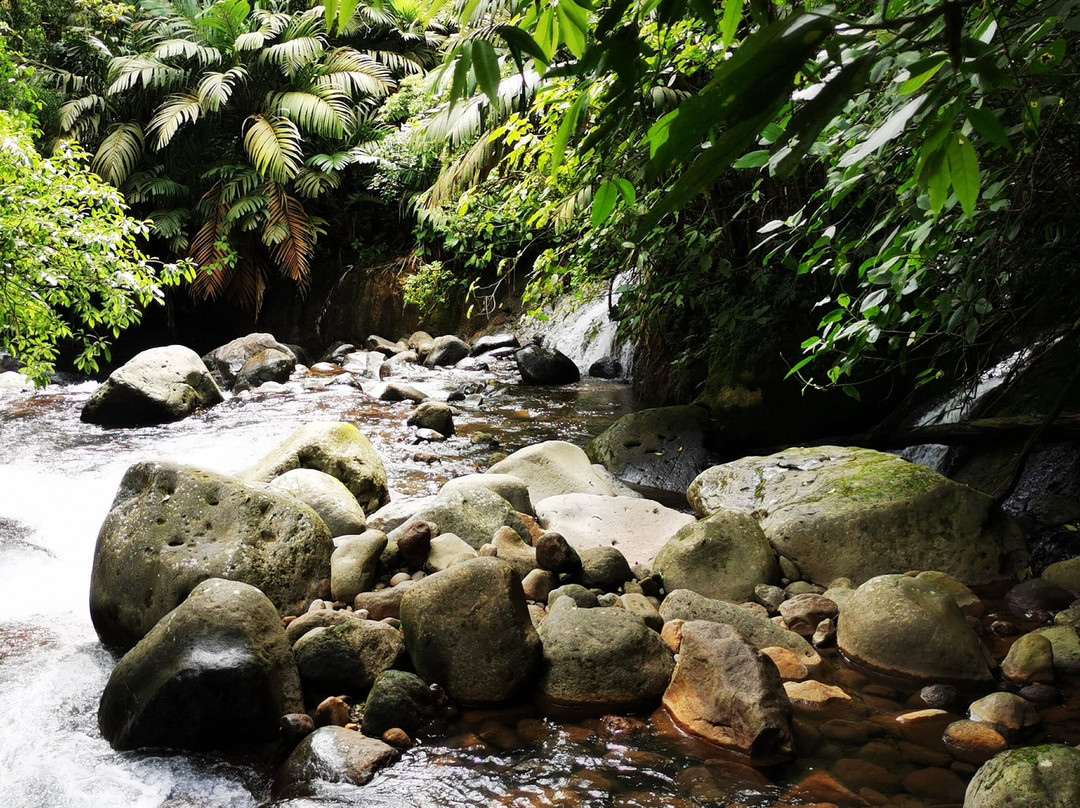 埃托卡诺温泉度假酒店主图
