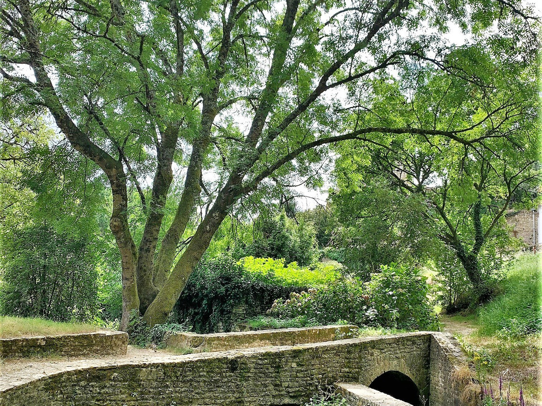 Riviere Souterraine de Champdeniers-Champdeniers-Saint-Denis必去景点