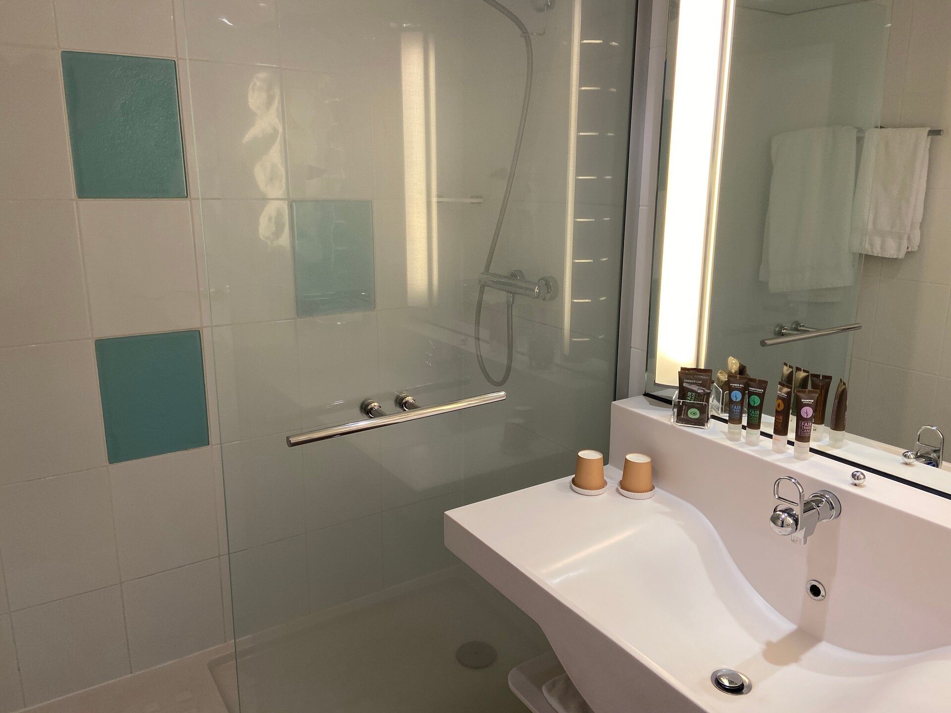 Novotel Limoges Le Lac-浴室