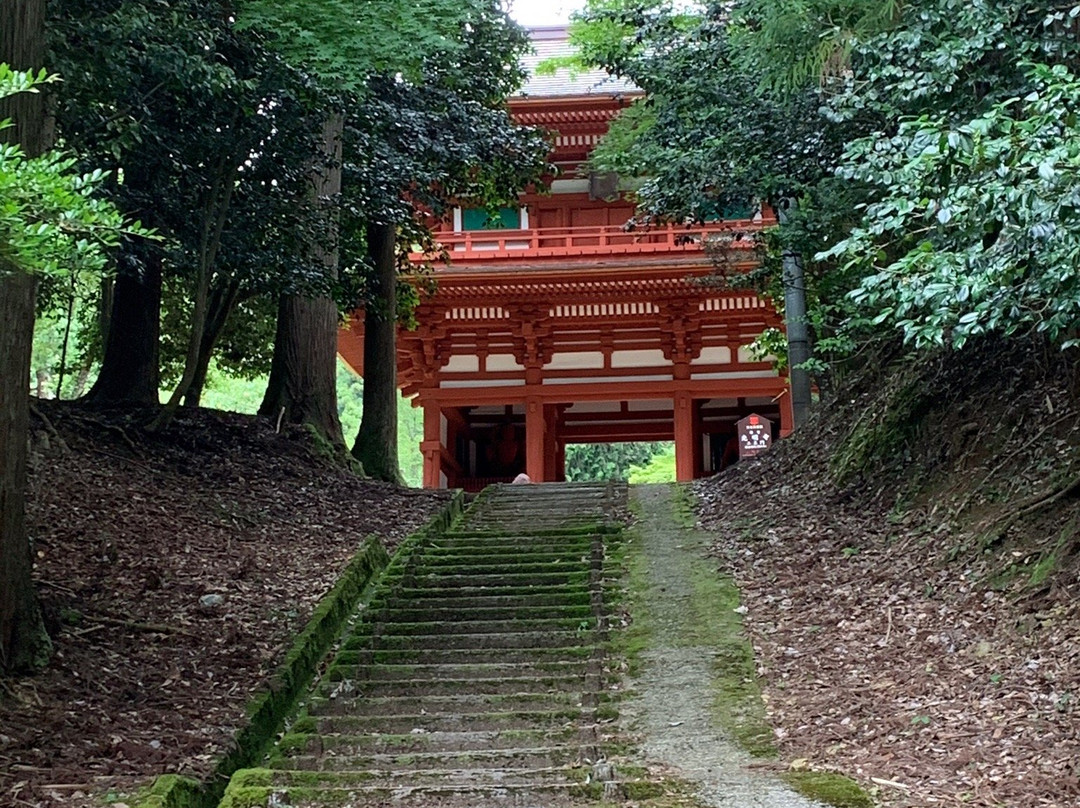 Komyoji Temple-绫部市必去景点