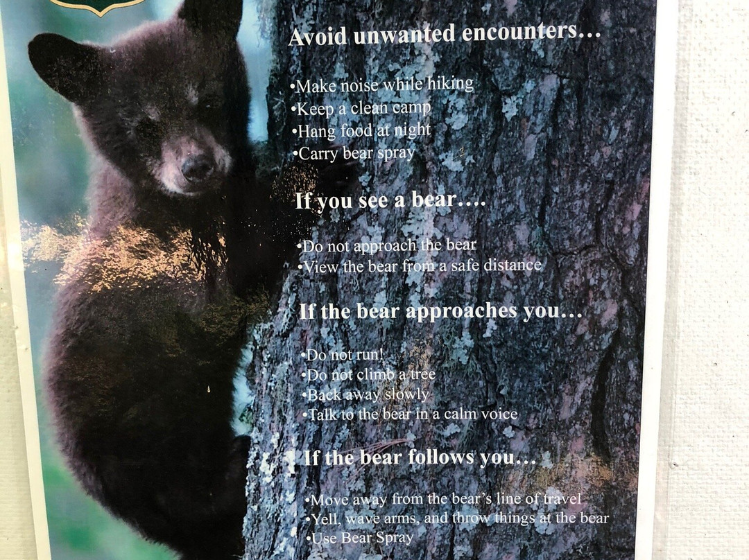 Rimrock Overlook-Warren必去景点