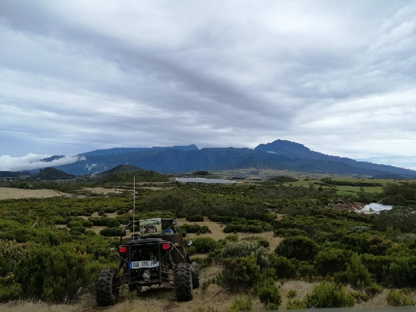 Bugg's Buggy 974景点图片