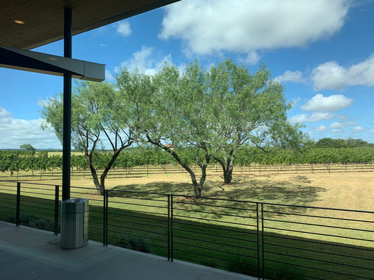 Fredericksburg Tours, LLC-弗雷德里克斯堡必去景点