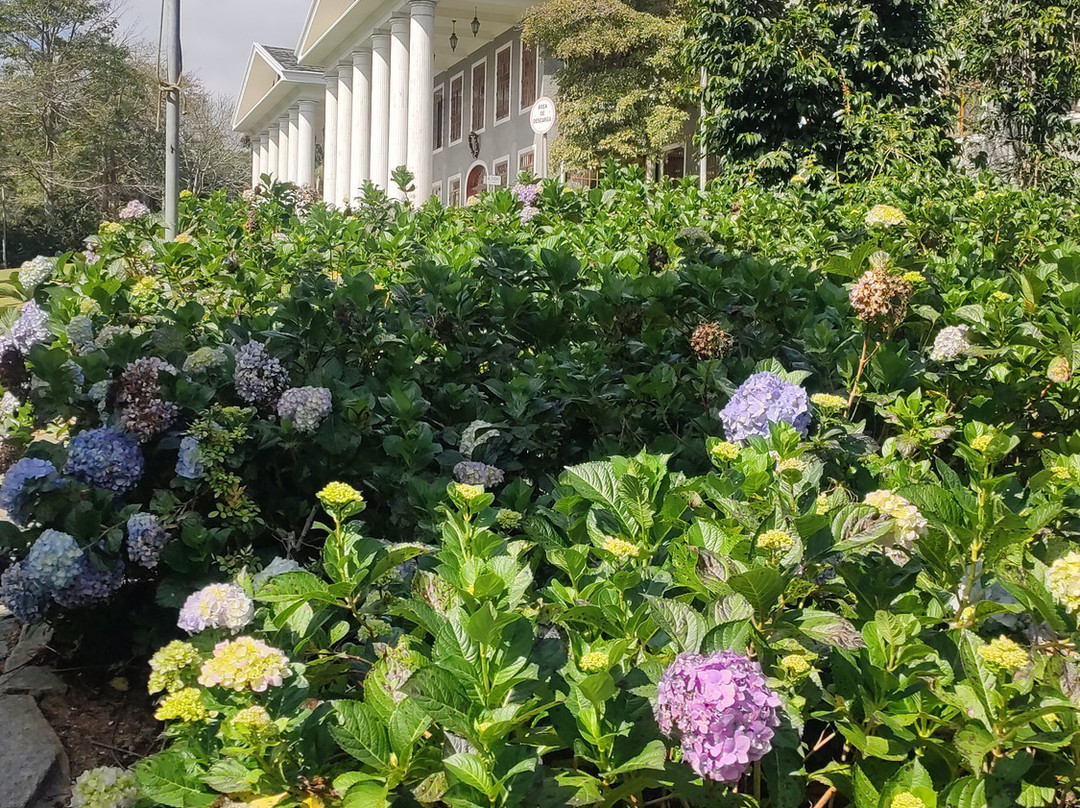 Aroso Paço Hotel主图