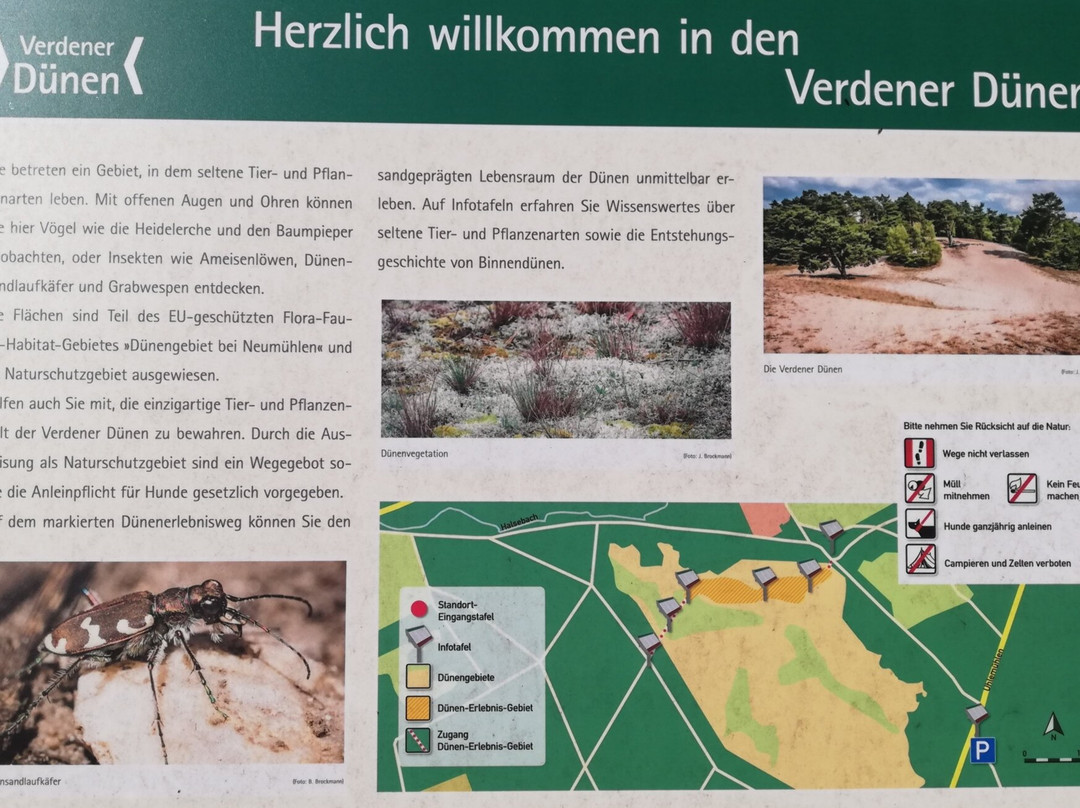 Verdener Dünen-Verden (Aller)必去景点