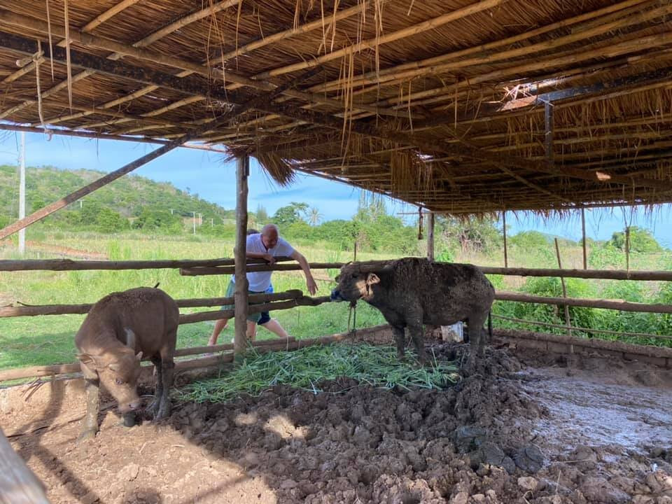 The Barn Hua Hin主图