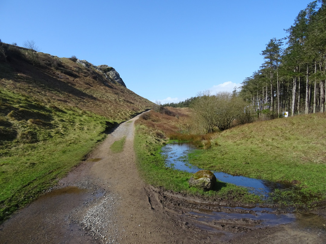 Tallizmand Guest House主图