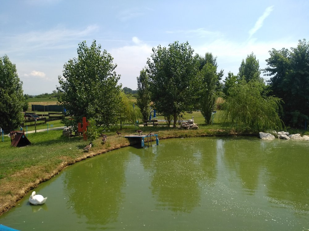 Family Park景点图片