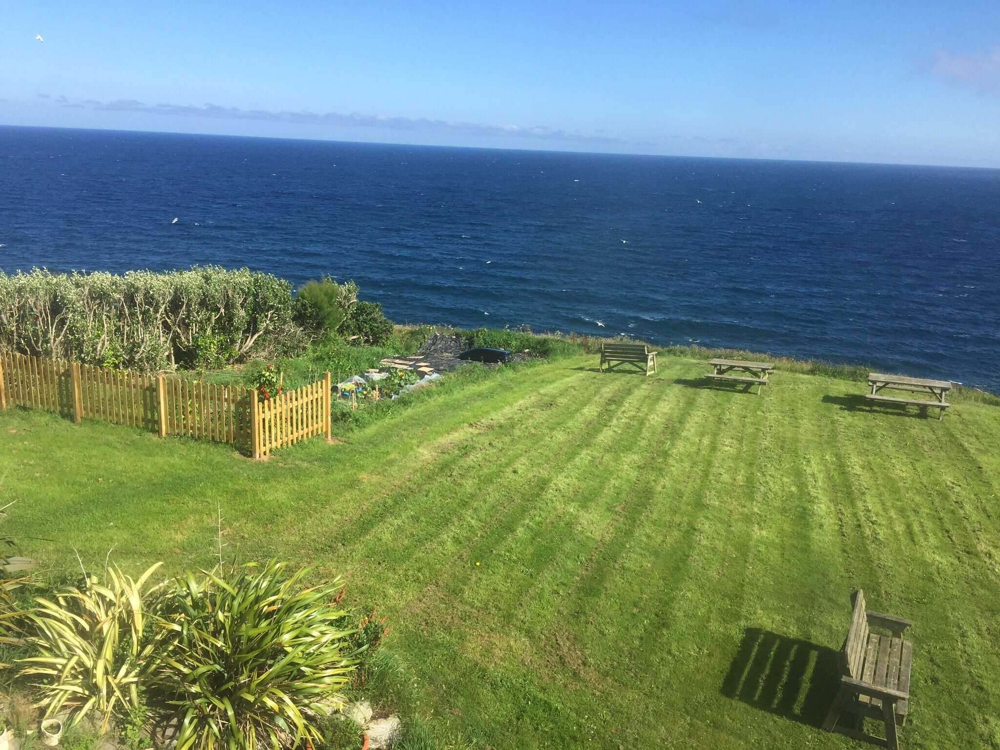 Signal Field B&B-官方