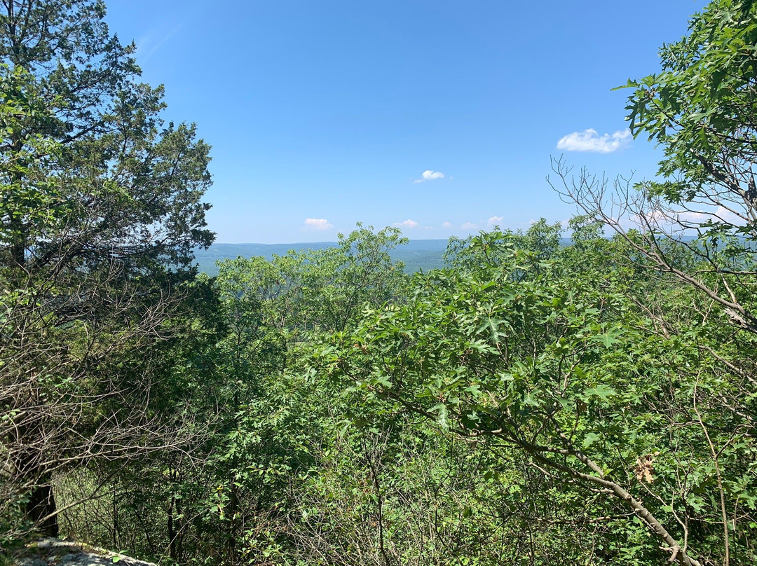 Ringwood State Park景点图片