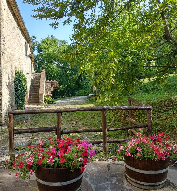 Fattoria Poggerino主图