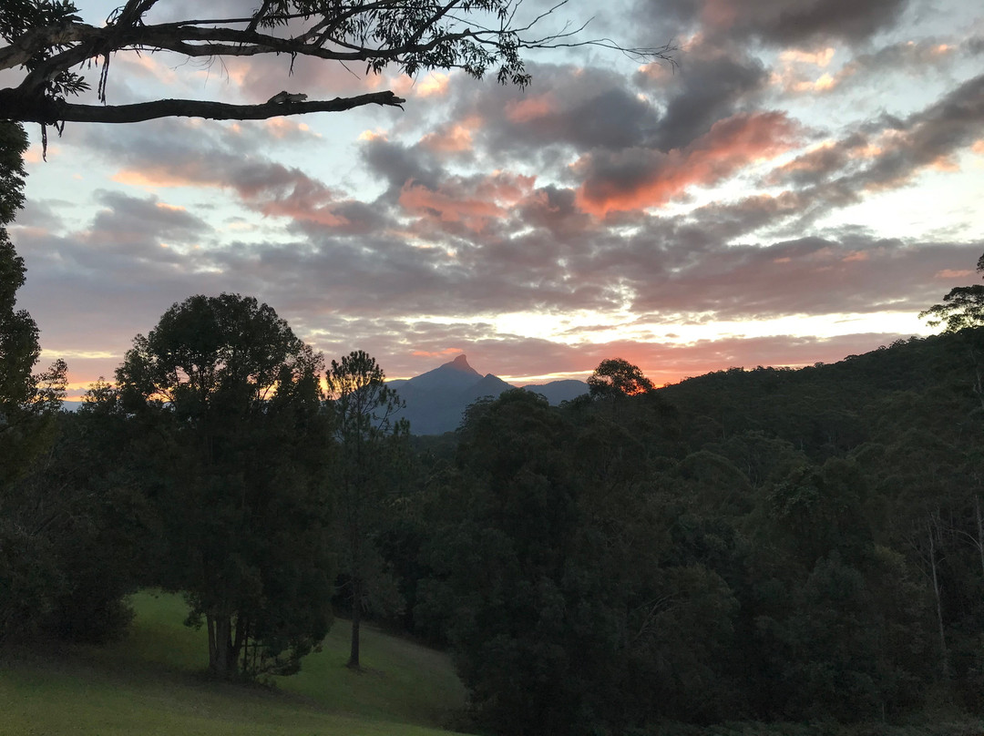 EcOasis Resorts主图