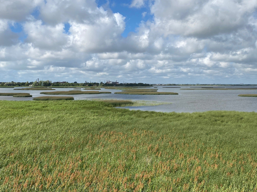 Liepaja lake watchtower-Liepaja必去景点