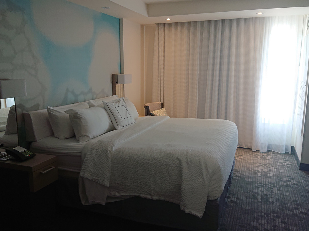 Hotel Dene & Conference Centre主图