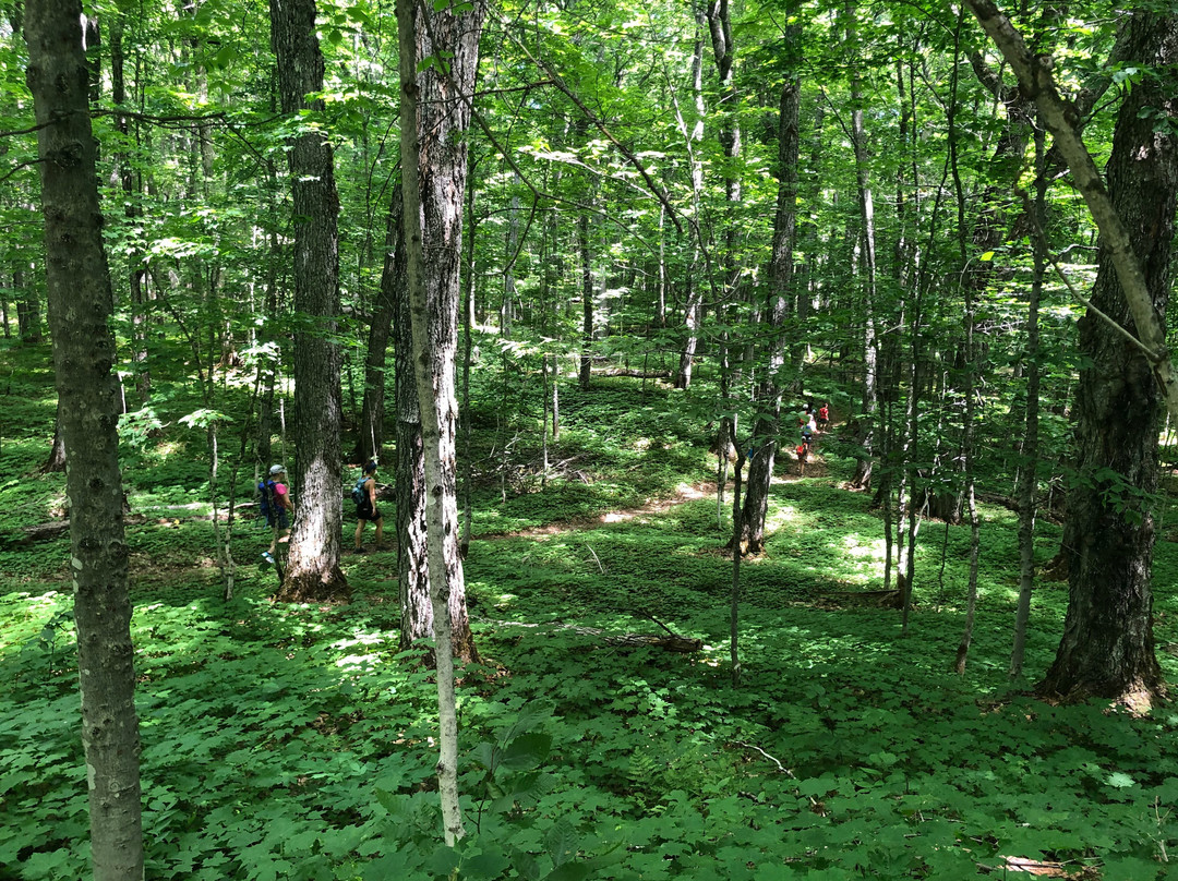 Parc National du Lac-Temiscouata-Saint-Michel-du-Squatec必去景点
