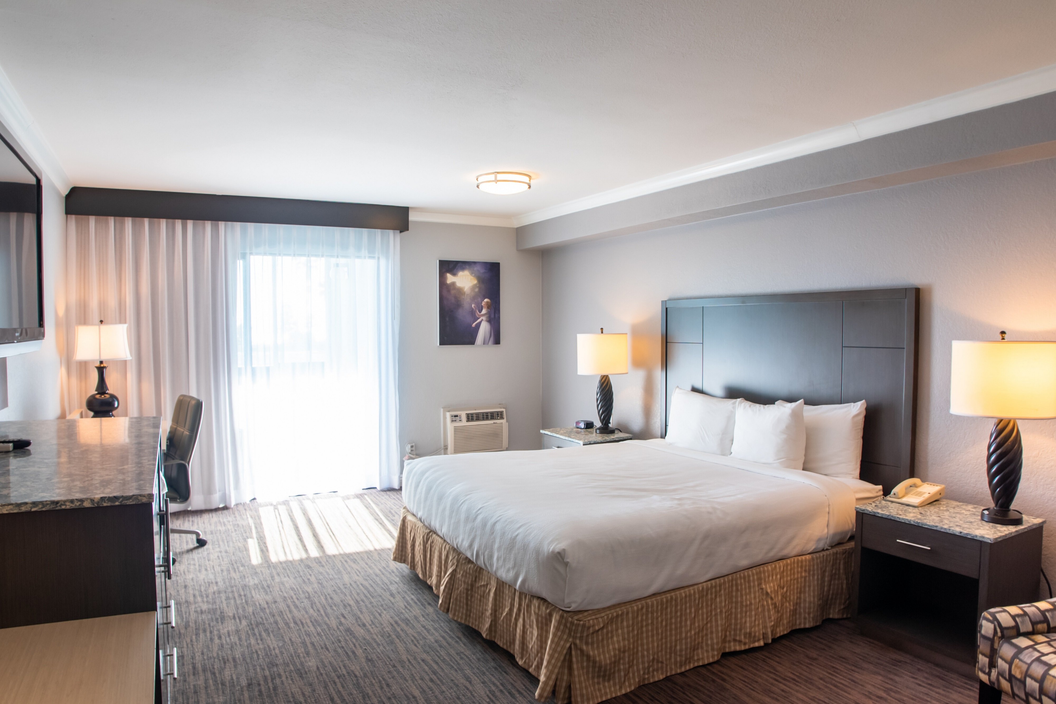 卡尔森文图拉乡村套房酒店-官方