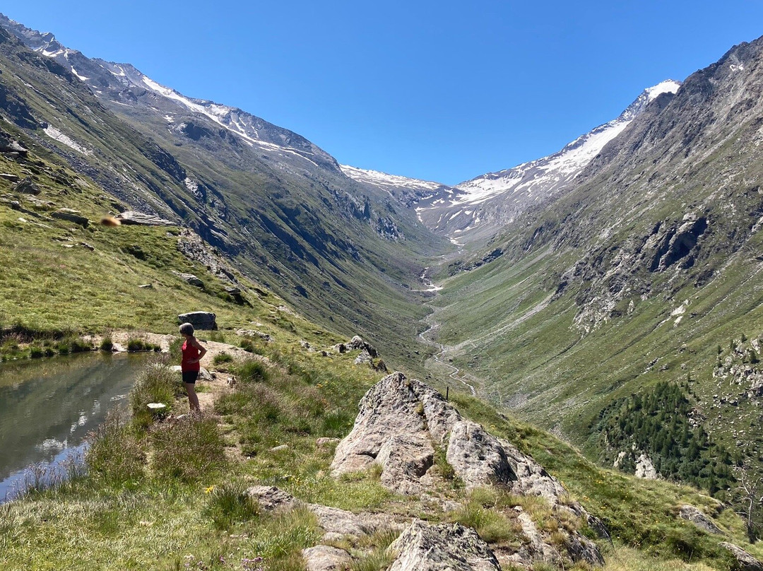 Hotel Alpenhof主图