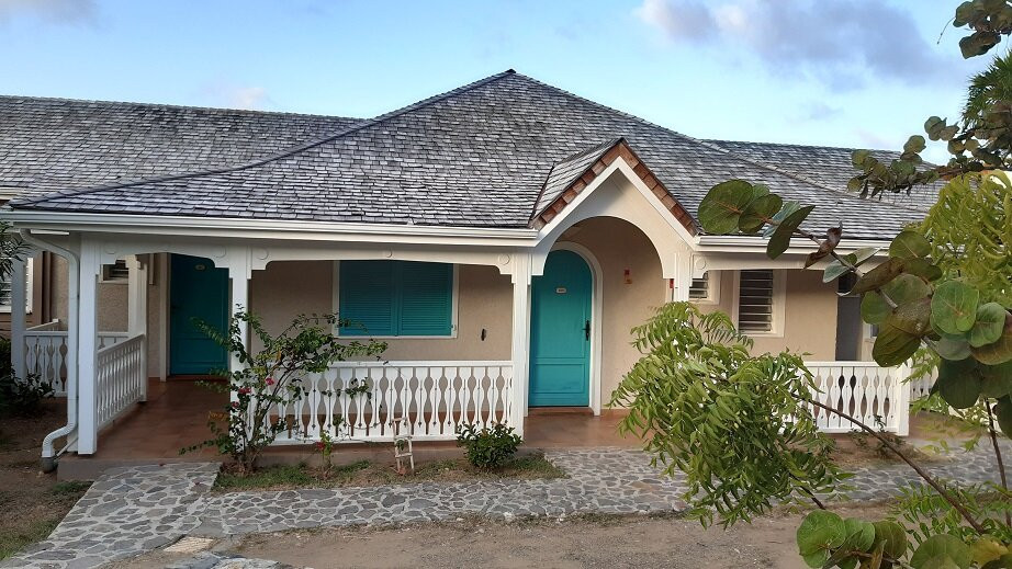 人工林酒店主图