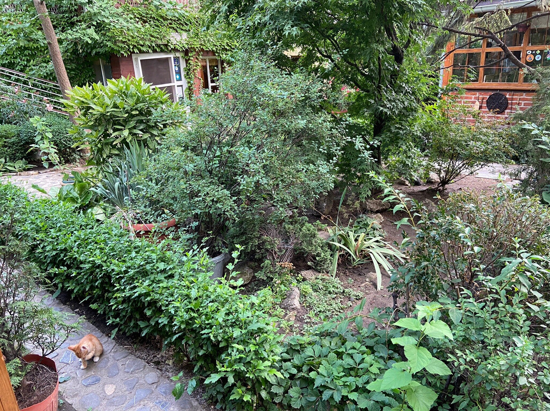 Guesthouse Stanisavljevic主图