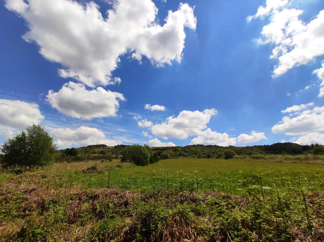 Accueil Touristique du Pays de Landivisiau-Guimiliau必去景点