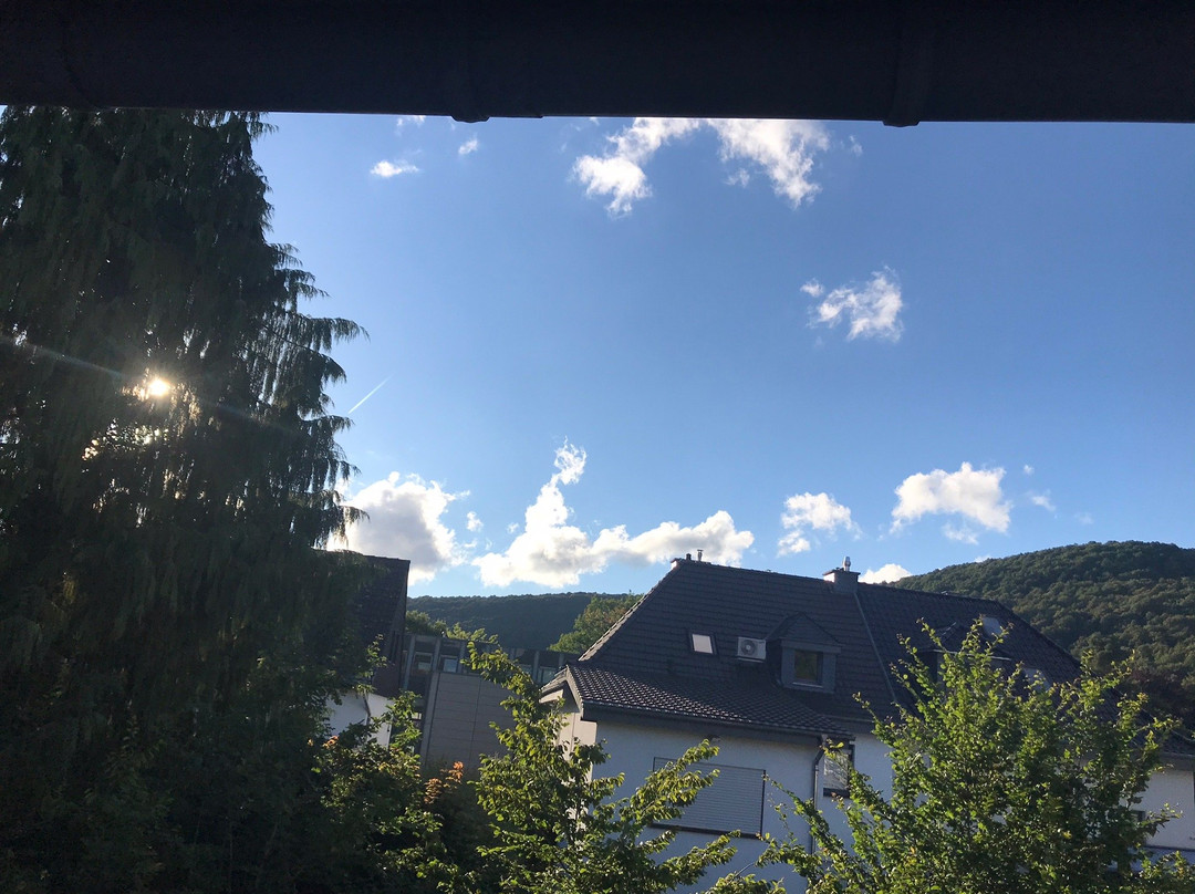 Kurparkhotel im Nationalpark Eifel主图