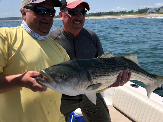 Fish Portland Maine-南波特兰必去景点