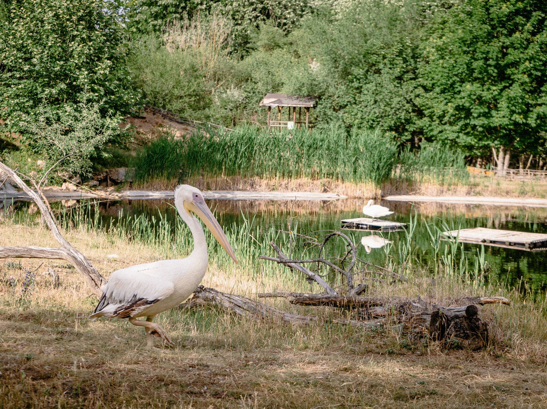 Zoo Centre Dobrich-Dobrich必去景点