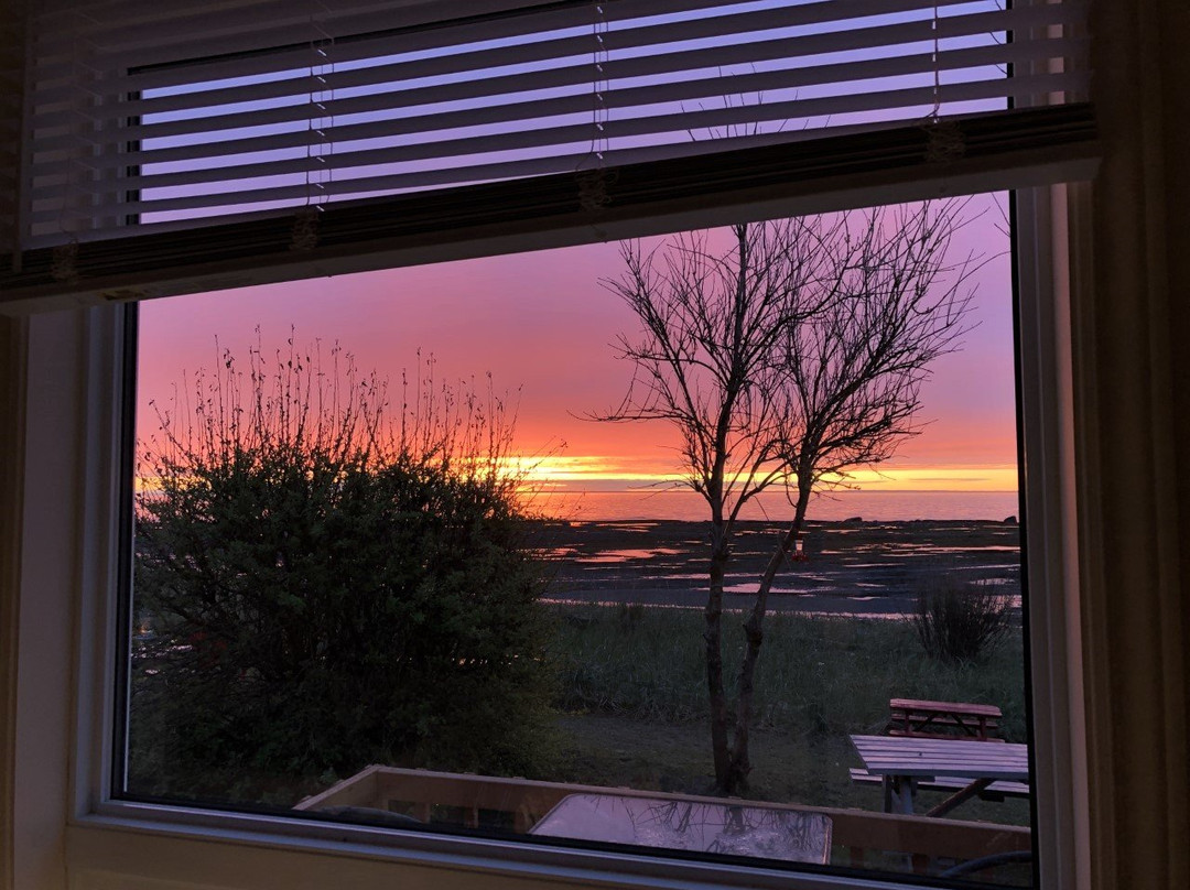 Motel Appartements Le Saint-Patrick主图