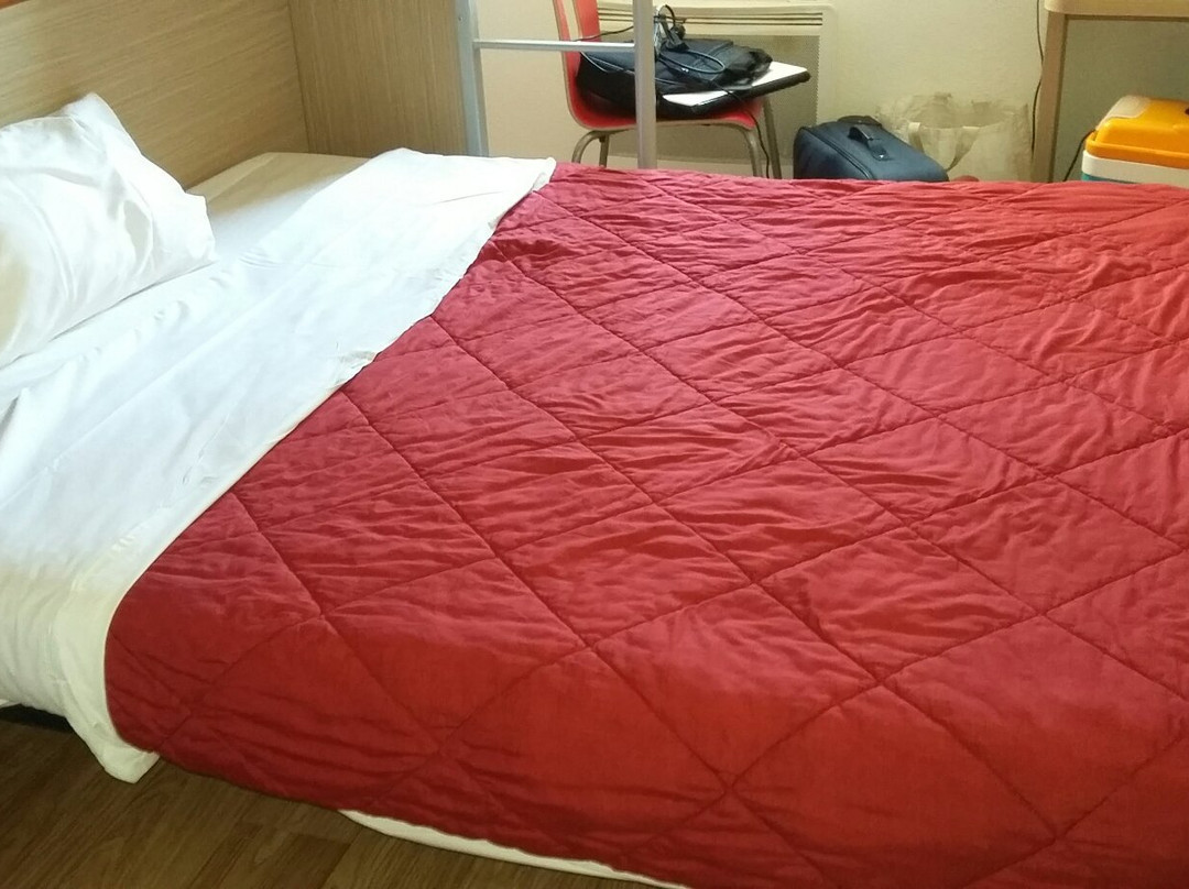 日内瓦安纳马斯基里亚德直营酒店主图