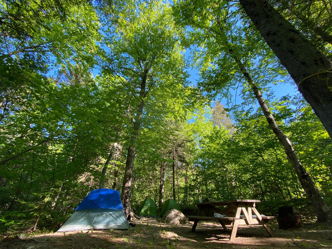 Reserve Faunique Mastigouche-Saint-Alexis-des-Monts必去景点