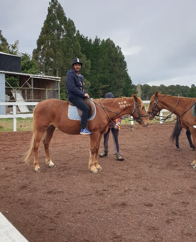 Ruapehu Homestead Horsetrekking景点图片