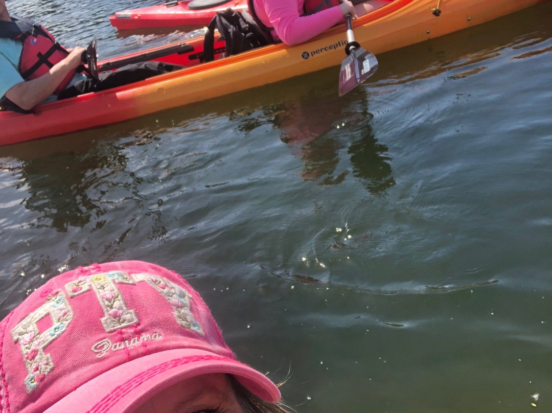 Base Camp Bigfork-Bigfork必去景点