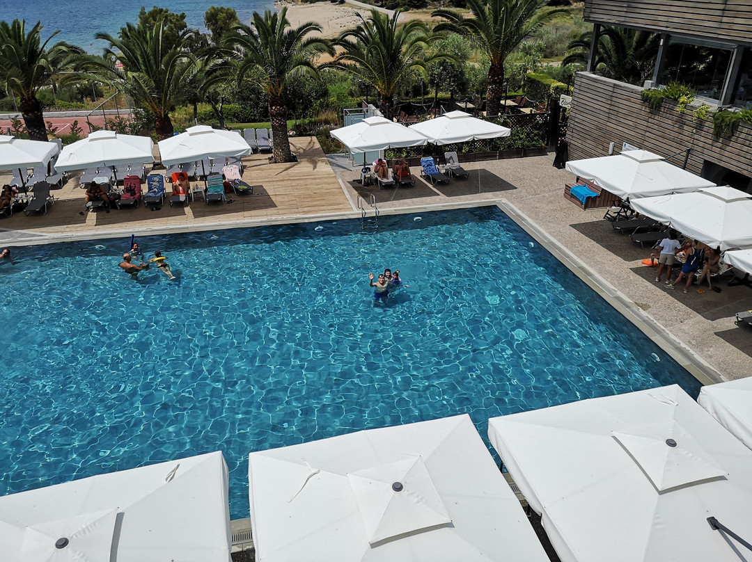 Blue Dolphin Hotel主图