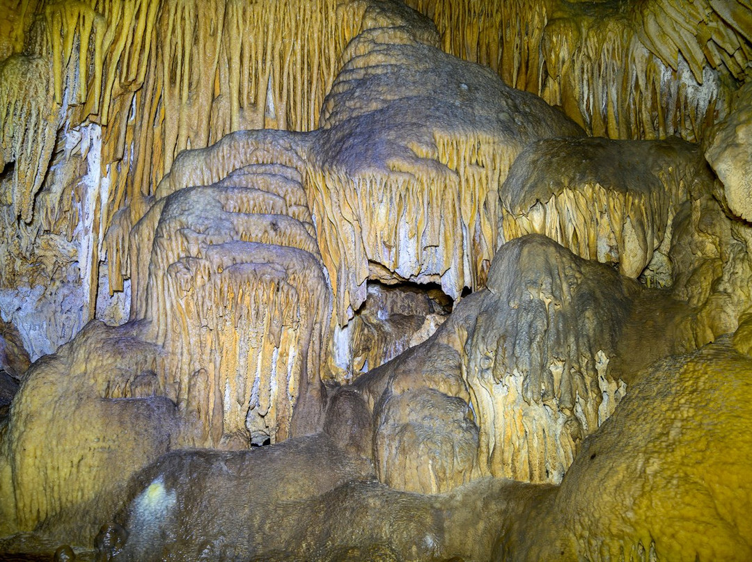 Calgardup Cave景点图片