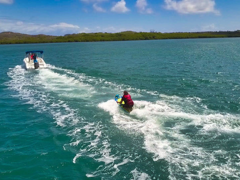 Trip and Treat VIP Boat Tours-威廉斯塔德必去景点