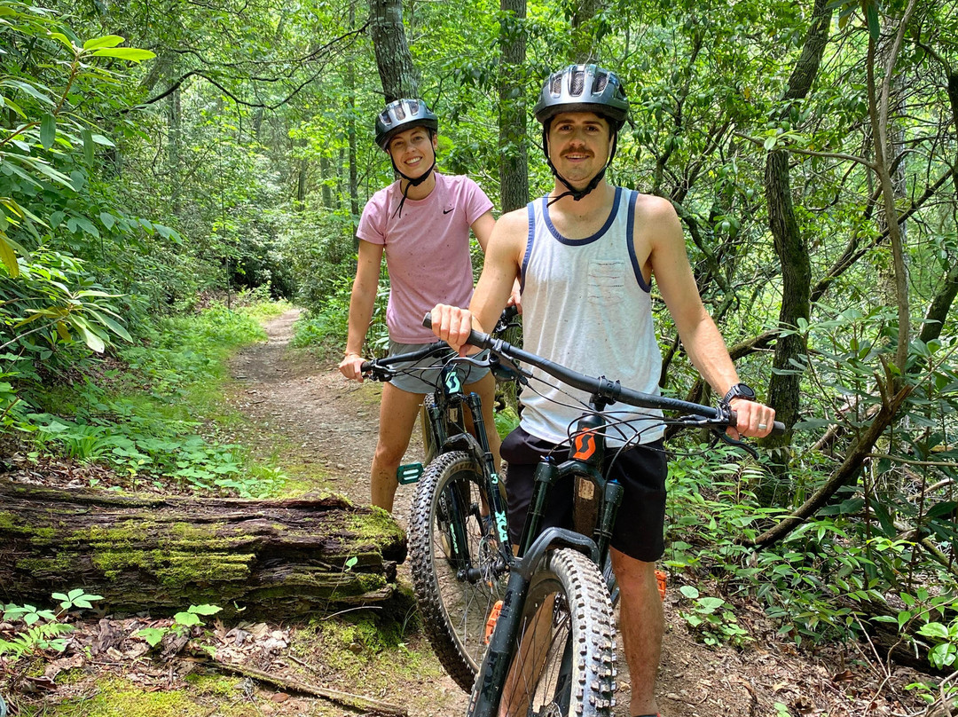 Pisgah National Forest景点图片