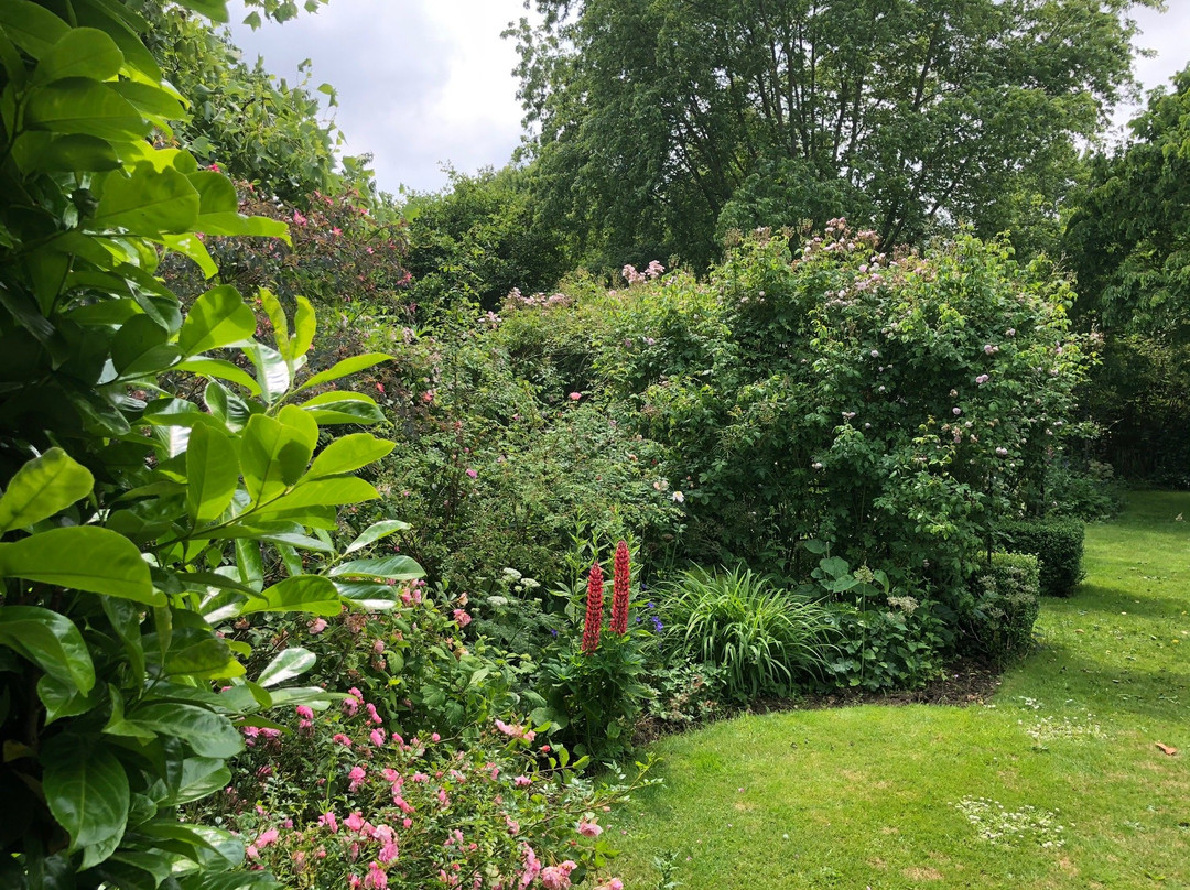 Hall Farm Garden景点图片