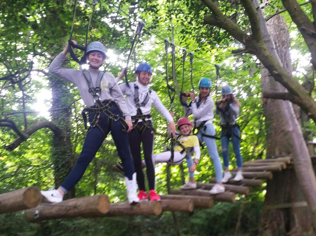 Squirrel Scramble-布瑞必去景点